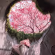 ShinzoAbin