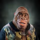 guzmacedo