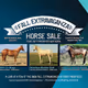 Polka_City_Stables_ZED_Horses_For_Sale