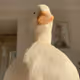 !23951