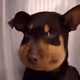 Burnerwalletsucks
