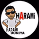 Haram_Harami