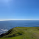 edensaul