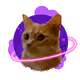 CryptoChachou