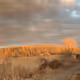 The_Good79