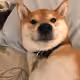 zkey_eth