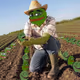 PepMcstrobbart