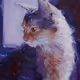sdfghttv