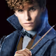 NewT_Sc