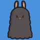 Mrwhosdash