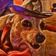 SmokyChihuahua