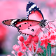 0x7f8112ed4ad6c5359a6865b00e6a0360e46e8f7c