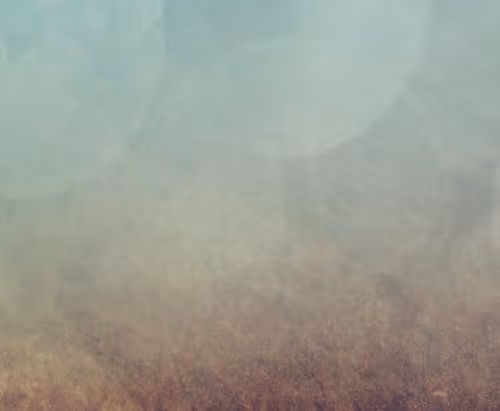 OpenSea banner for @ui
