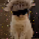 SMRADAX
