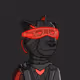 AlphaBears_Deployer