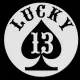 1313131313131313