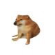 MarkusWhale
