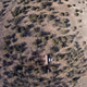 LandGen