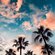 0x808143cb7147f0ee82479762ac433d2c21a2671a