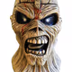 EddieTheHead