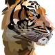 MKshiang