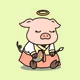 piggi3