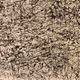 TeleD----Fonics