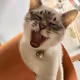 myumyu-