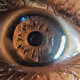 0x80f40d72ff7356c64c85df2ad98139aab6ec1d76