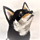 Mikashiba