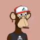 RunZim1