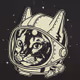 astrocat88