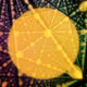 0x8136c6d68ea44cef3eee62fbca607fa4faacb2bf