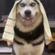 saifshai