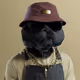 boxlerer