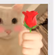 0x81761da99a7c774ea9fa8daef263e73f9eee396f