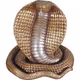 NfT-SnAkE--