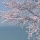 0x8191e3609b64f954b2e075d8963a0a09656eab2a