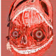 0x81af8c20ef02dad3877ba8cb1e966631b747aa69
