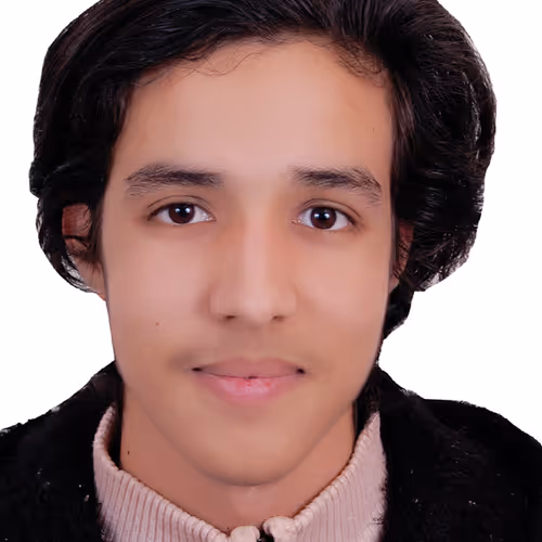 OpenSea profile picture for @Ussef