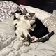 wakemeupforbake