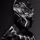 BlackPanther949