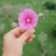 0x8207b74b5157f0bca49c3e309201e08b7860faf6
