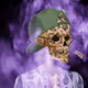 Cranium_Calvin