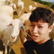 leminh