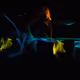 DramaRoamsIn