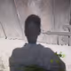 performan