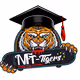 NFT_Tigers_academy