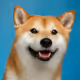WWWWWWWWWWWWWM