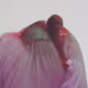 GUCCICHEESECLOTH